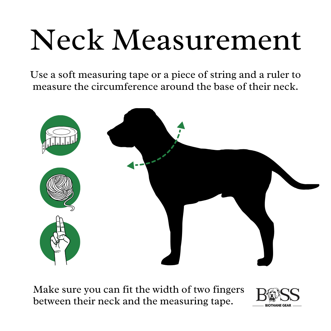 Quick-Release Standard Collar