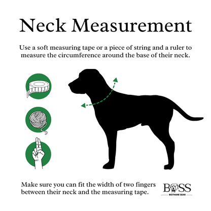 Quick-Release Standard Collar