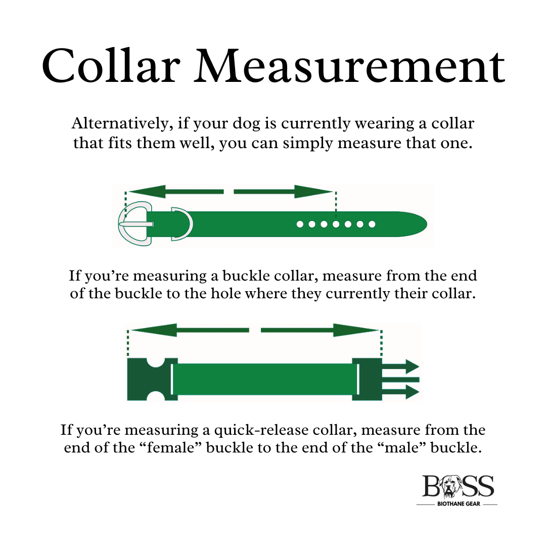 Quick-Release Standard Collar