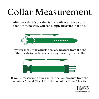 Quick-Release Standard Collar