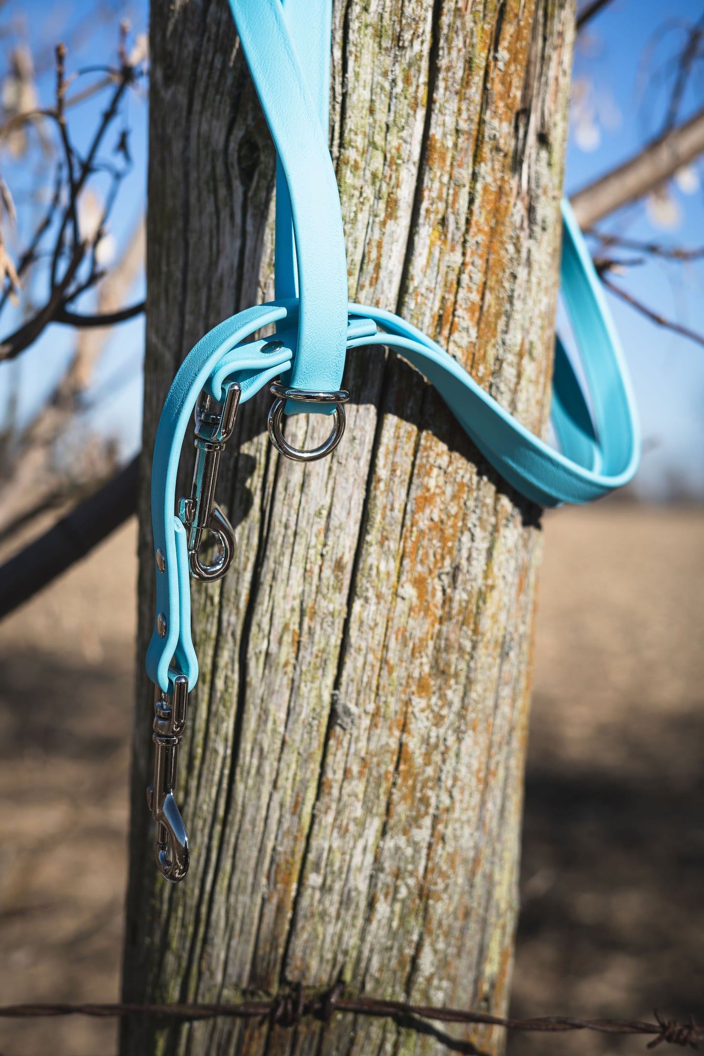 Hands-Free Leash