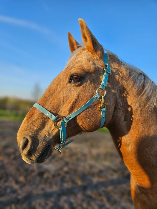 Horse Harness