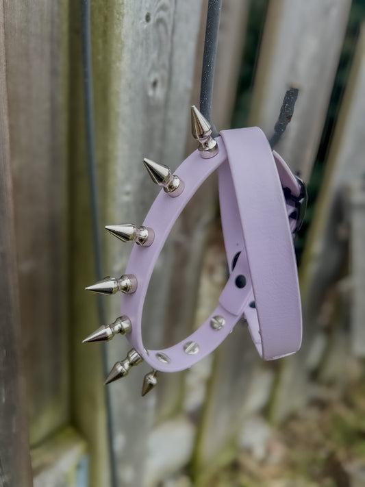 Standard Collar with Spikes