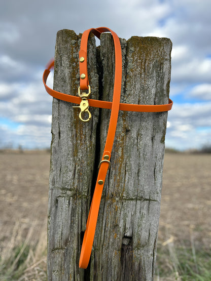 Standard Leash