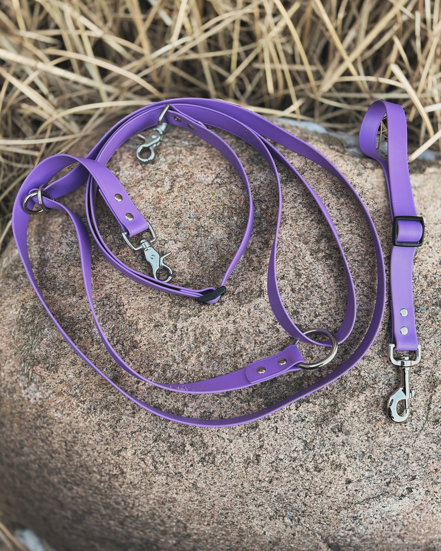 Margot's Ultimate Adventure Leash