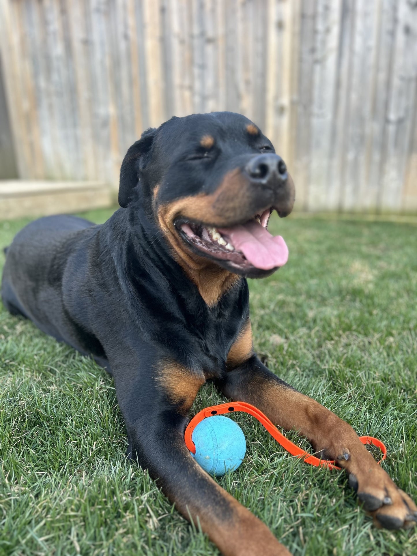 Ares Ball Tug