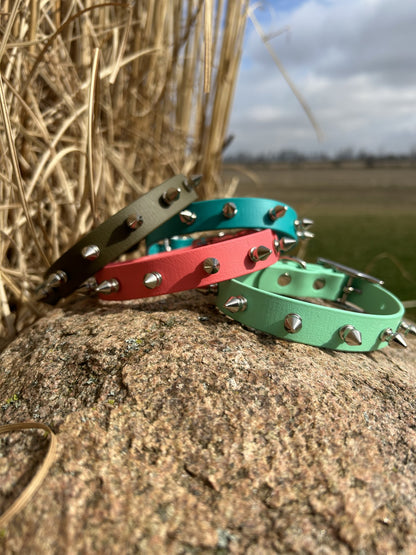 Standard Collar with Spikes