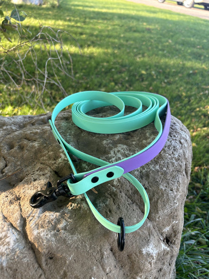 Two-Tone Standard Leash