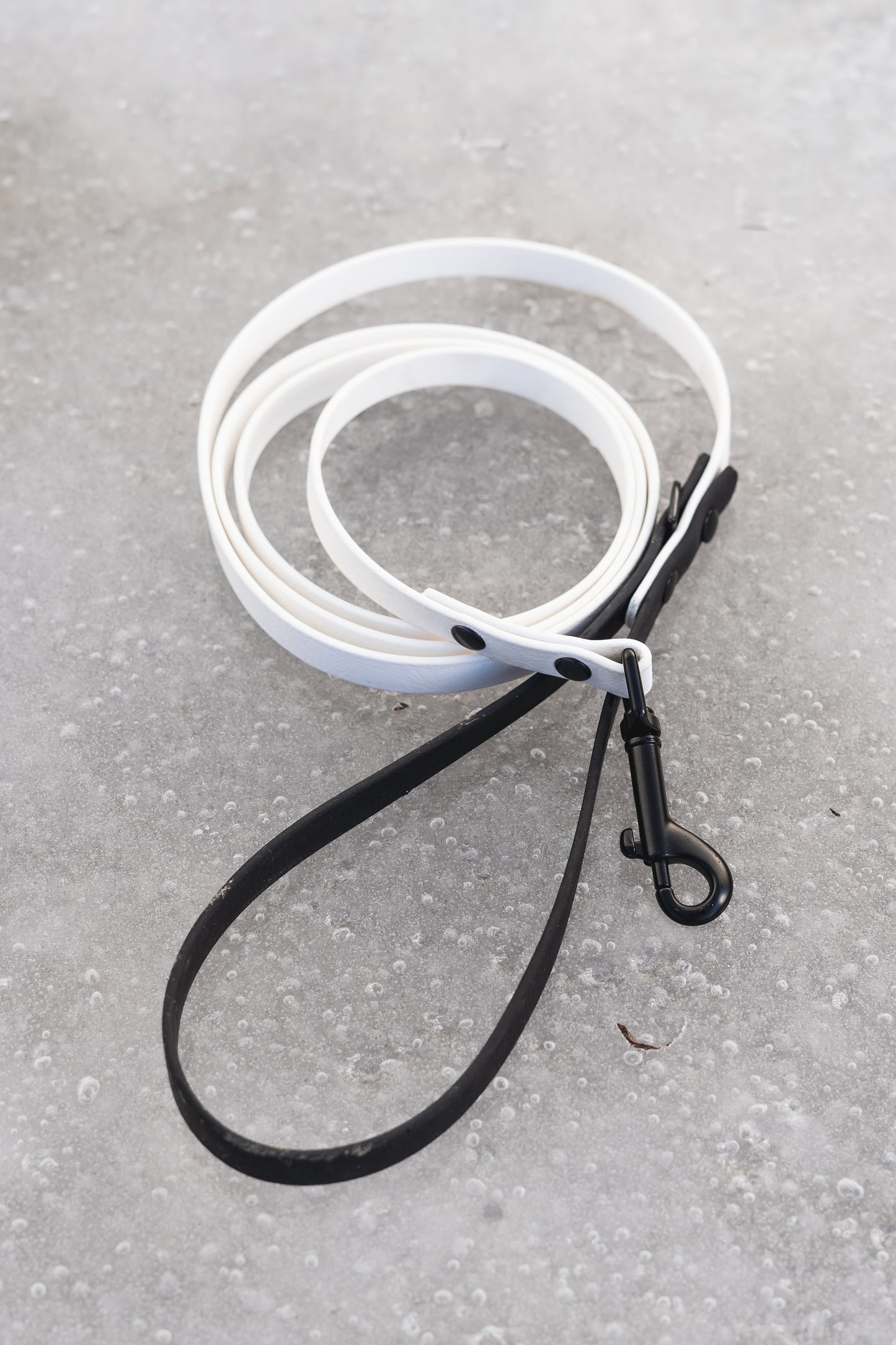 Two-Tone Standard Leash